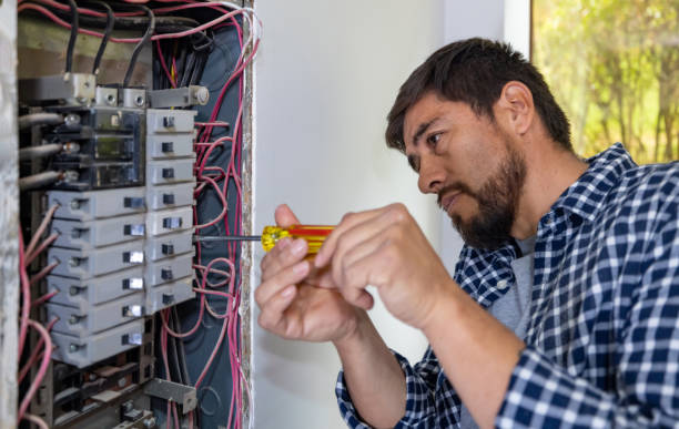 Best Electrical Remodeling Services  in Palacios, TX